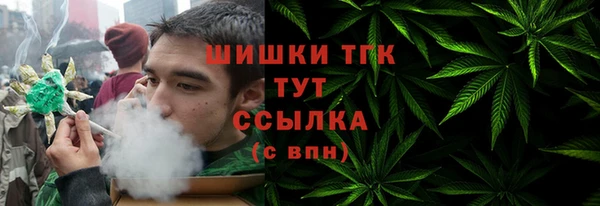 мескалин Заводоуковск