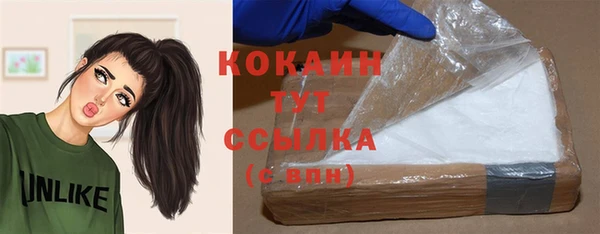 мескалин Заводоуковск