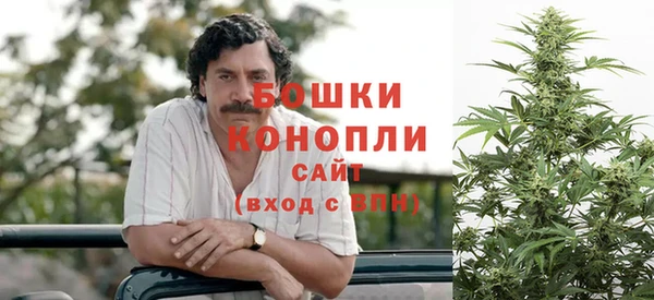 мескалин Заводоуковск